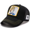 Dragonball Dragon Ball Z Hat Cosplay Costume